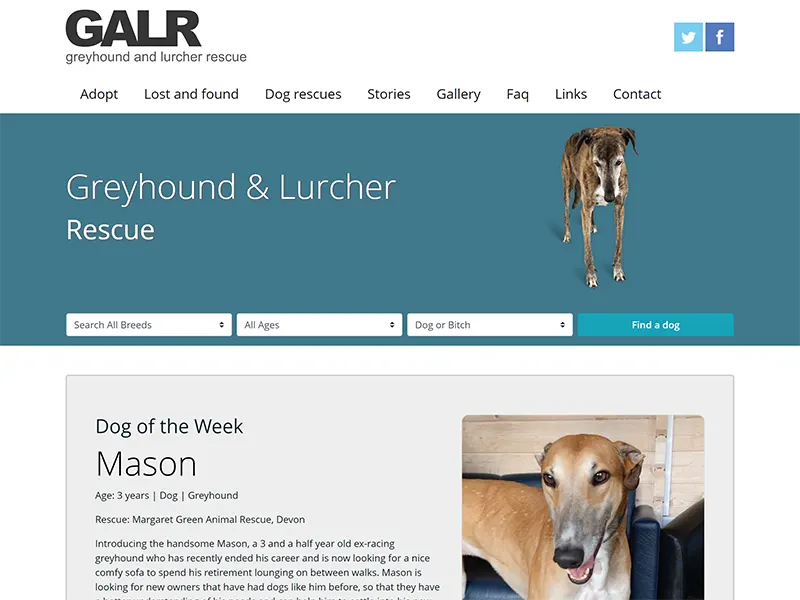 GALR greyhound and lurcher rescue website project